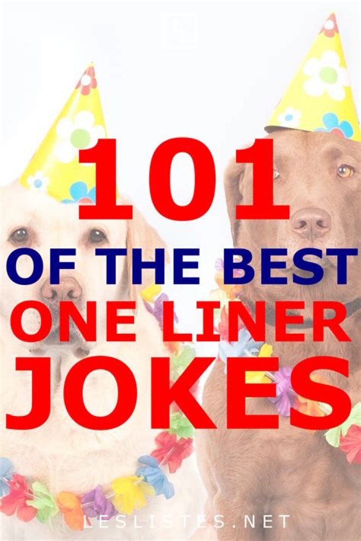 101 Funny OneLiners That Are Certain to Lift Your Spirits Funny one