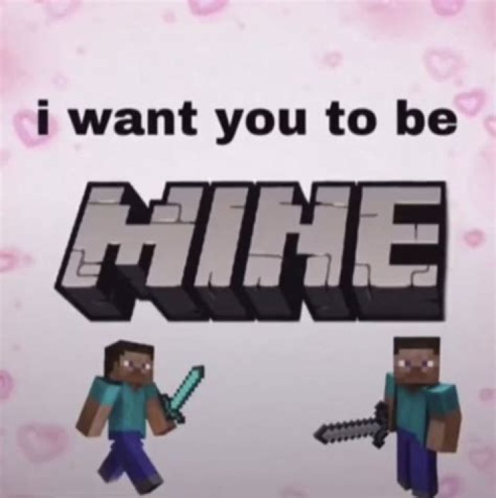 110+ Best Flirty Minecraft Pick Up Lines for Her Best Wellness Expert