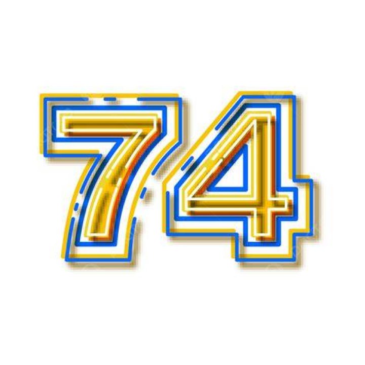 74" Tow Ramps Single Piece Race Ramps