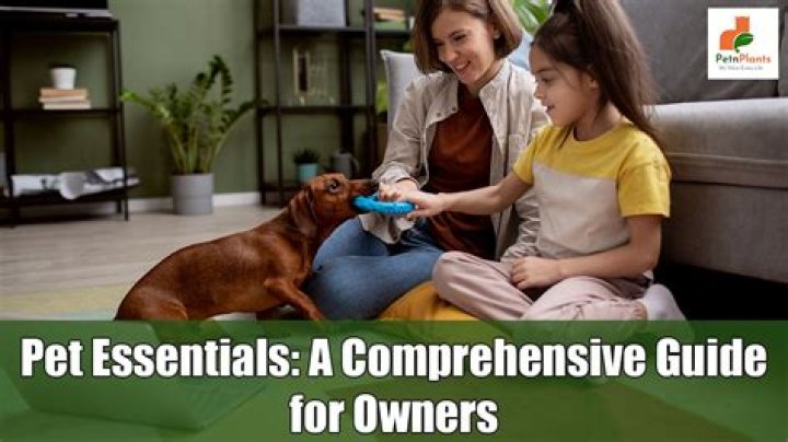 A Comprehensive Guide To Exceptional Pet Care