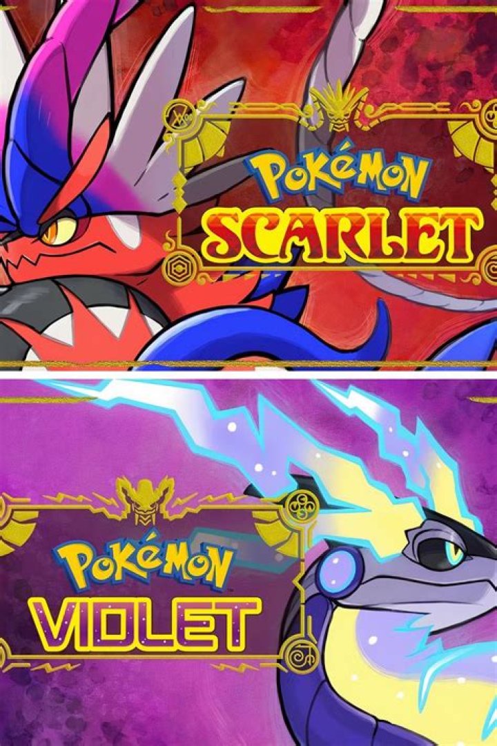 A Journey Into Violet Delights!