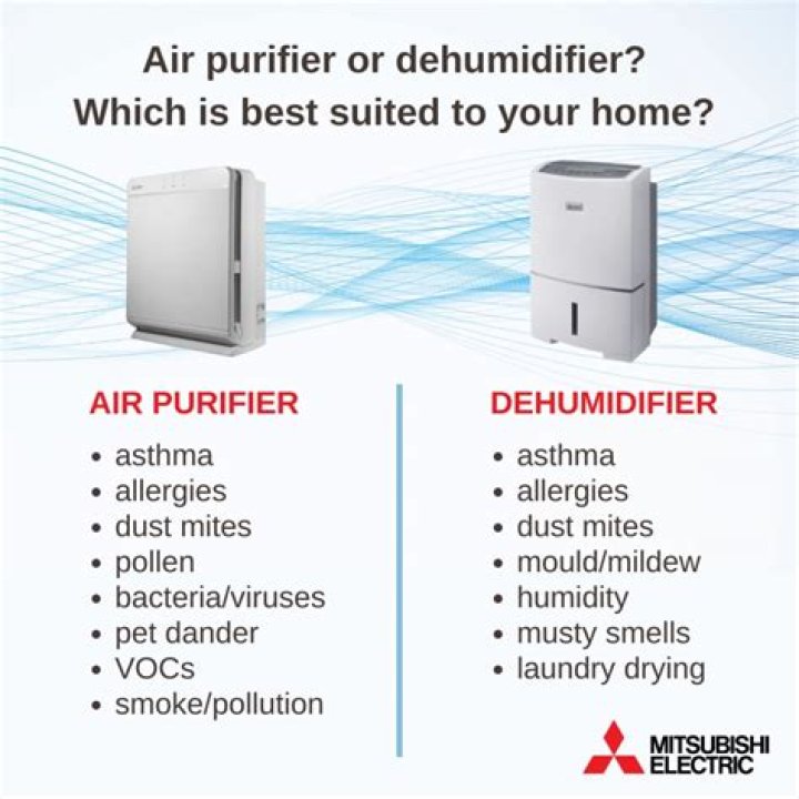 Air Purifier vs Dehumidifier Key Differences & Types