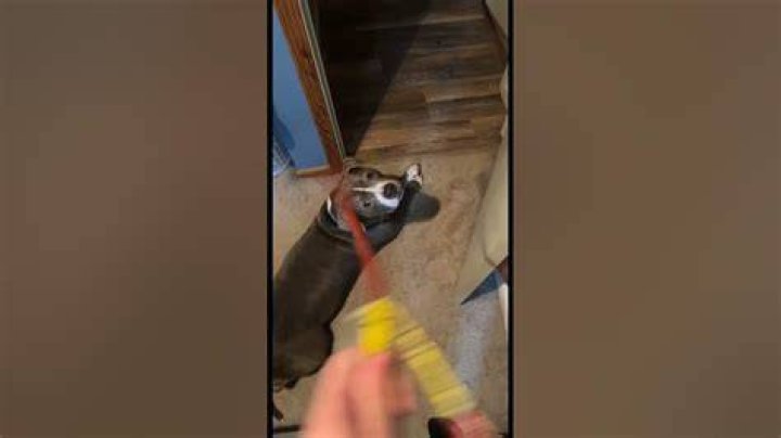 Beans make her dance!!!!!!! YouTube
