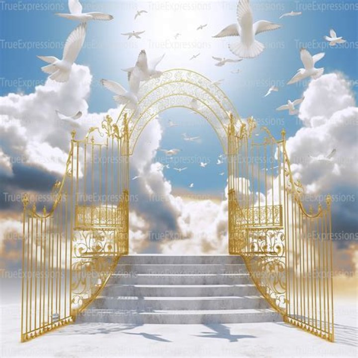 Best Buy When the Gates Swing Open [CD]
