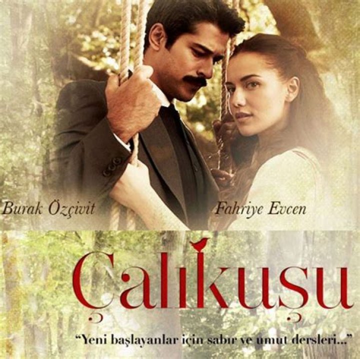 calikusu Actors, Series