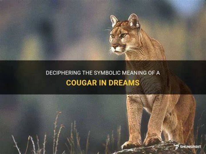 Cougar Dream Meaning Comprehensive Dream Dictionary