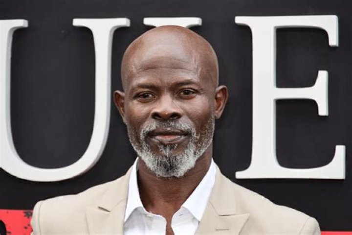Djimon Hounsou Net Worth Wiki, Age, Weight and Height, Relationships