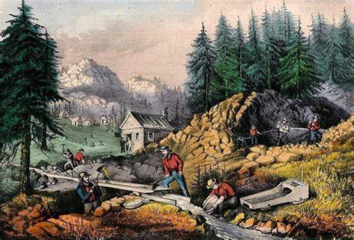 Gold Rush's Parker Schnabel Is Worth More Than You Think