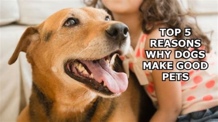 Good Dogs for a Great Cause 5th Annual Hamptons Dog Show