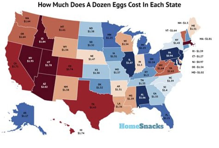 How Much Does a Dozen Donuts Cost? Exploring Prices at Different