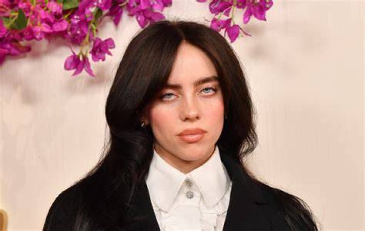 How to Make a Billie Eilish Deepfake Deepfakes Web Blog