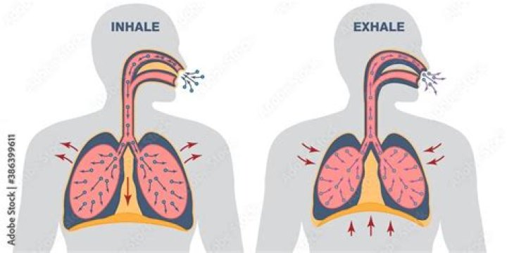 Inhale, exhale animations by Nathan W Pyle (nathanwpyle) on Instagram