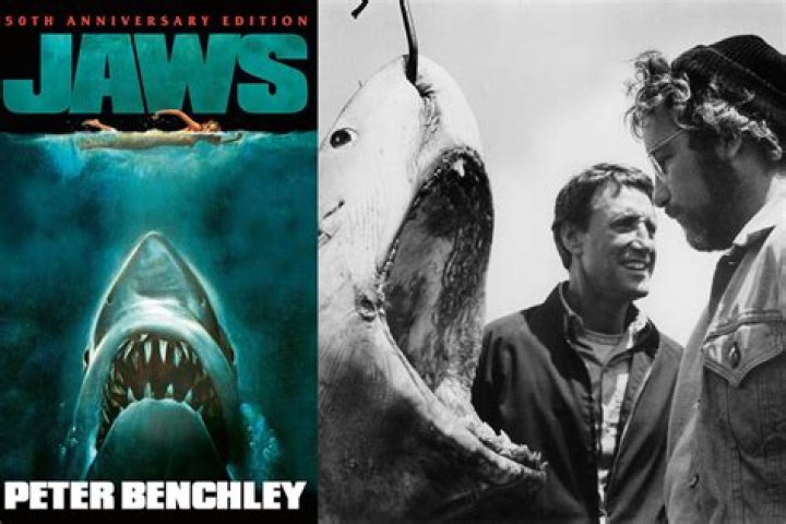 JAWS and the 2015 Hall of Fame ballot Randy Johnson Sports Illustrated