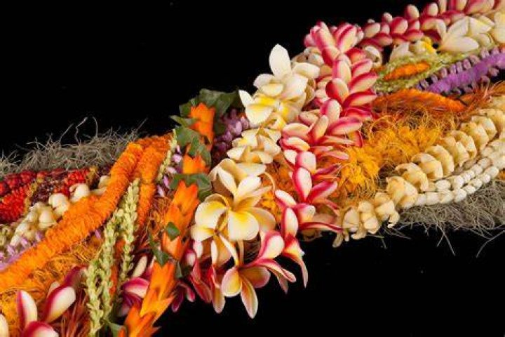 leis from Lei day in Hawaii... Hawaiian lei, Fall wreath, Leis