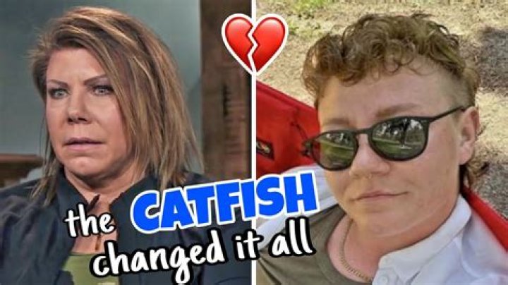 Meri Brown Catfish Incident Explained Recap For Those Who Missed It
