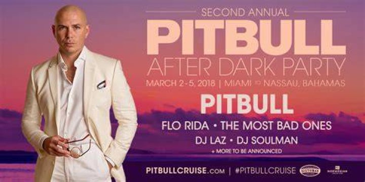 Pitbull After Dark Party