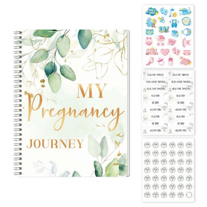 Pregnancy Diary 4 Weeks The Imperfectionist Mom