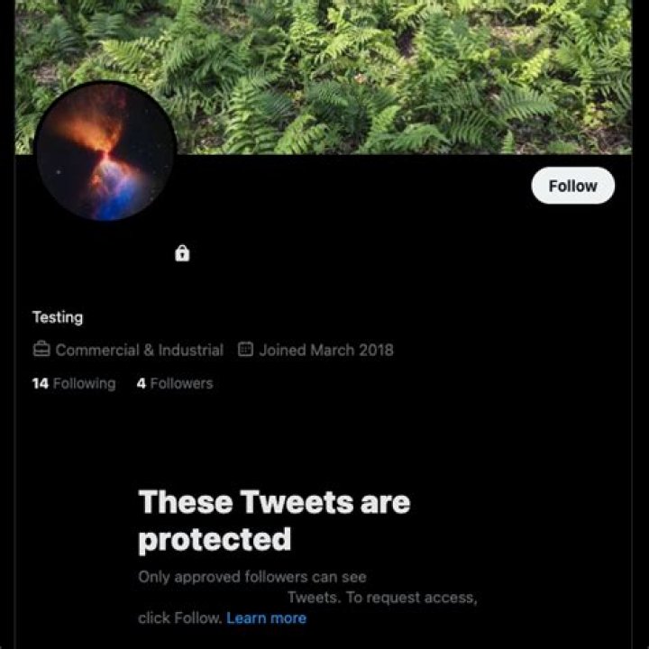 Priceless_nina on Twitter "https// / Twitter