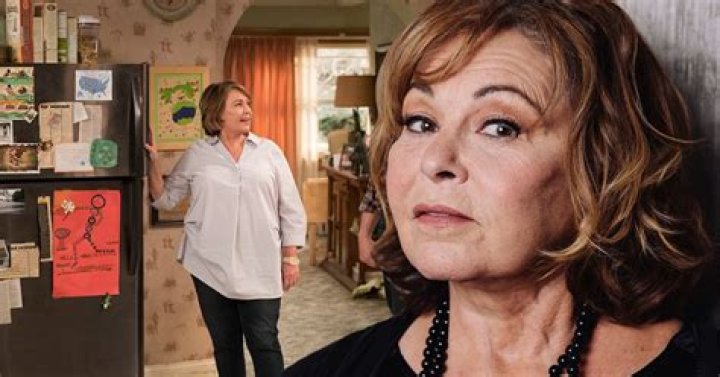 roseanne barr Imgflip