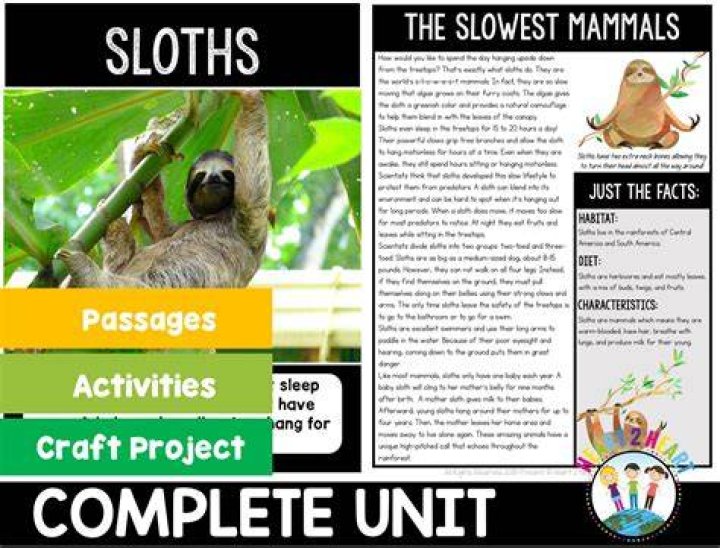 Sloth Deformities a study Indiegogo