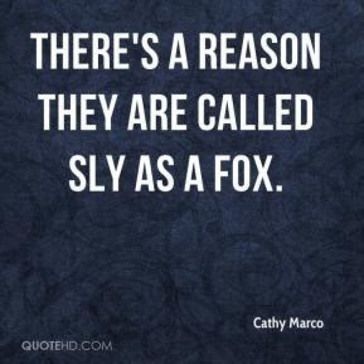Sly Quotes. QuotesGram
