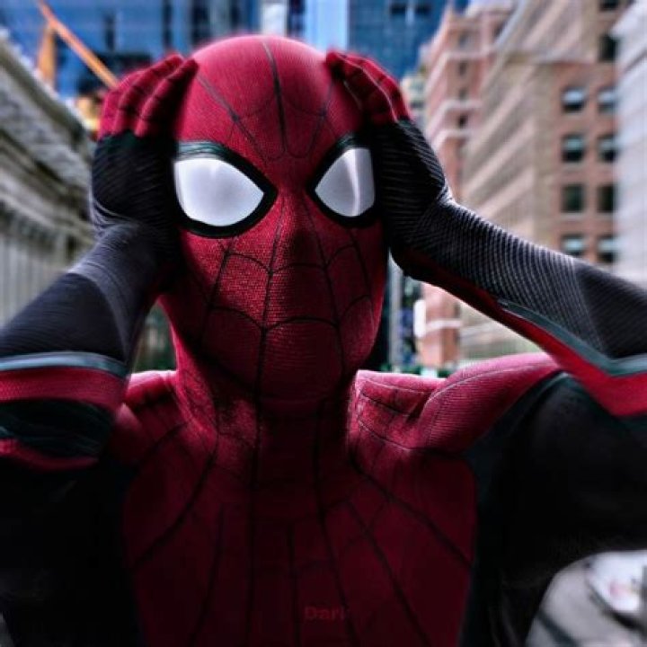 Spiderman pfp after seeing his identity revealed (4k)