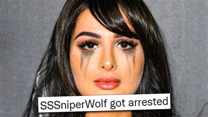 SSSniperWolf WAS ARRESTED... YouTube
