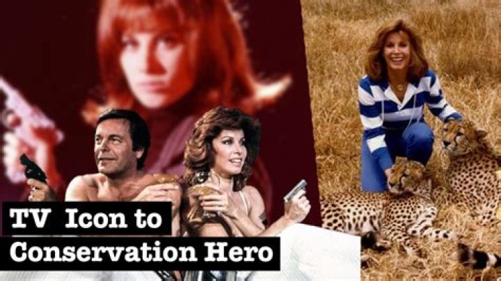 Stefanie Powers on her wildlife conservation and global adventures Films Entertainment