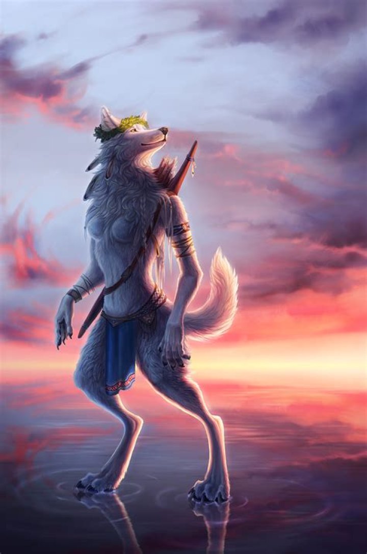 Sunrise hunter by WolfsECHO on DeviantArt