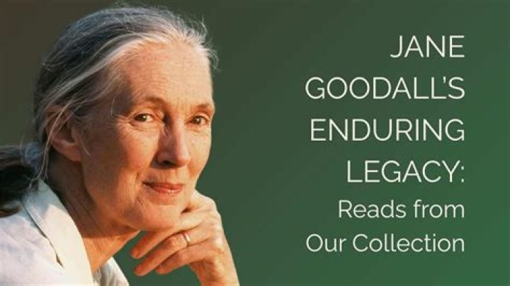 Timeless Style And Enduring Legacy