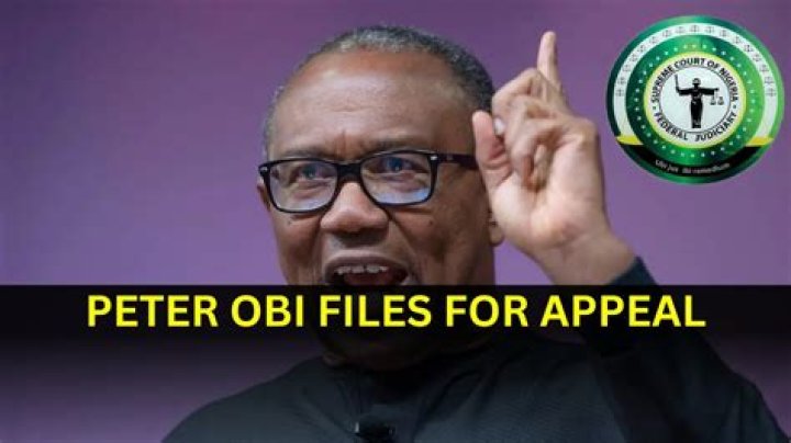 Unveiling Peter Obi's Children: Discoveries And Insights