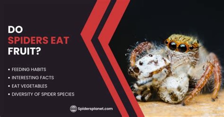 Unveiling The Secrets: Can Spiders Defy Gravity?