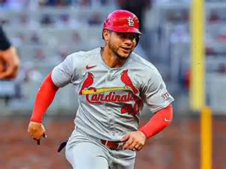 Who is Willson Contreras' wife? Who is Andrea Villamizar?