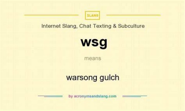 WSG Meaning In Texting Slang Decoded [June 2024] TexTribe