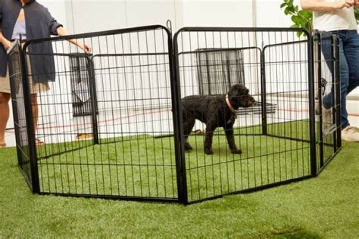 Yaheetech Heavy Duty 8 Panel Playpen Dog Pen & Reviews Wayfair