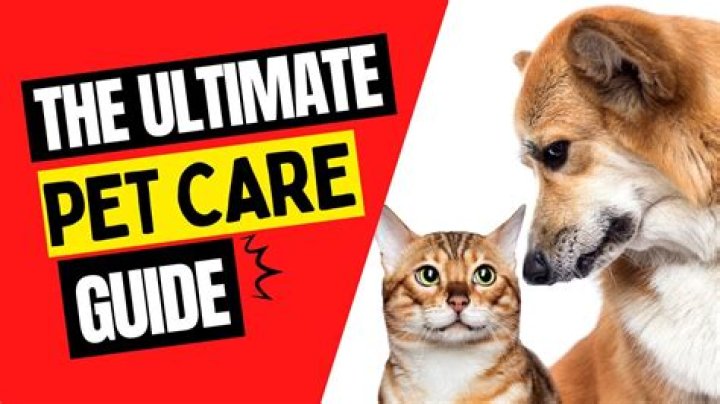 Your Pet's Ultimate Care Guide